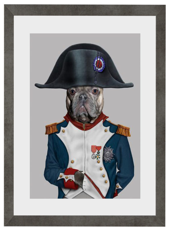 Plakat Napoleon Pets Rock