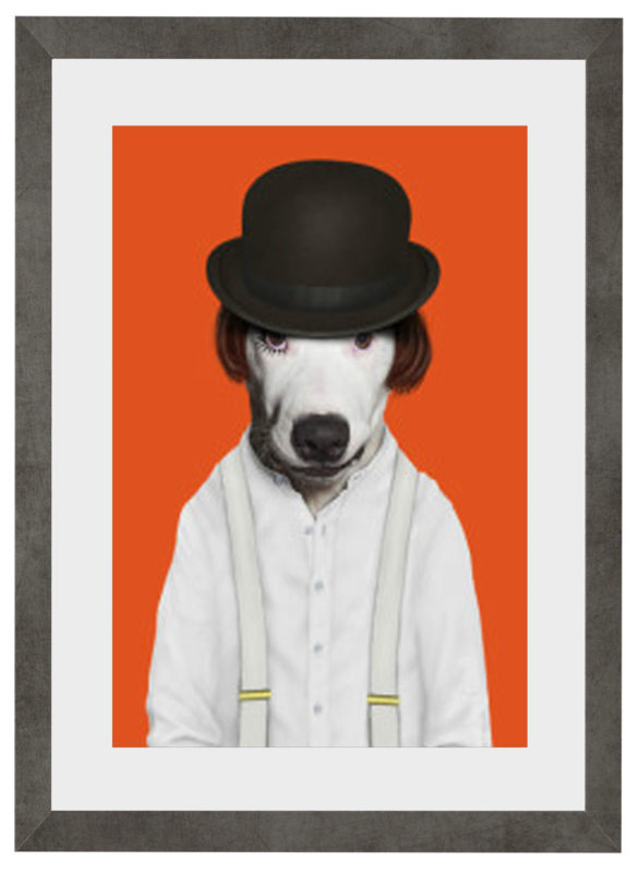 Dystopia Pets Rock