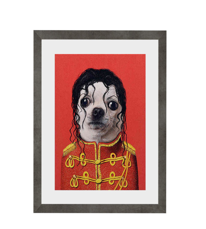 Michale Jackson Pets Rock