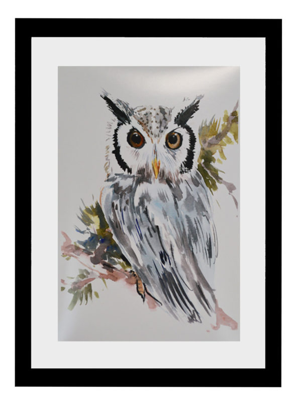 Plakat Owl
