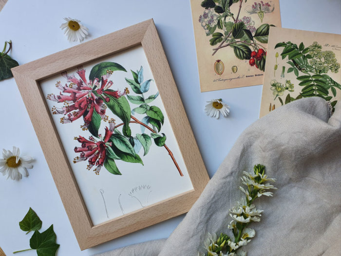 Ramka na zdjęcie Italia - Buk - aranżacja