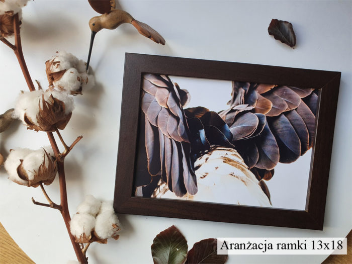 amka wenge fotoramka venge na zdjęcie