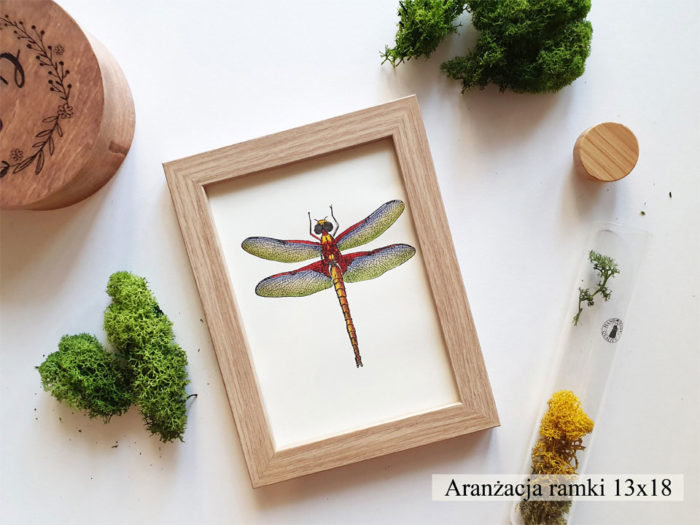 Ramka na zdjęcie Italia - Jasny Dąb aranżacja