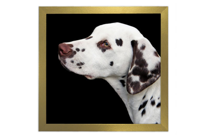 ramka fotoramka złota złoto na zdjęcie oprawa