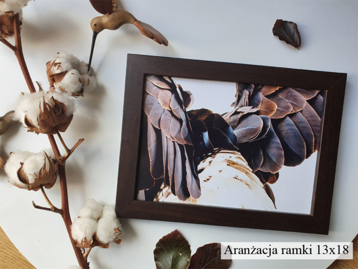 VENGE WENGE RAMKA FOTORAMKA