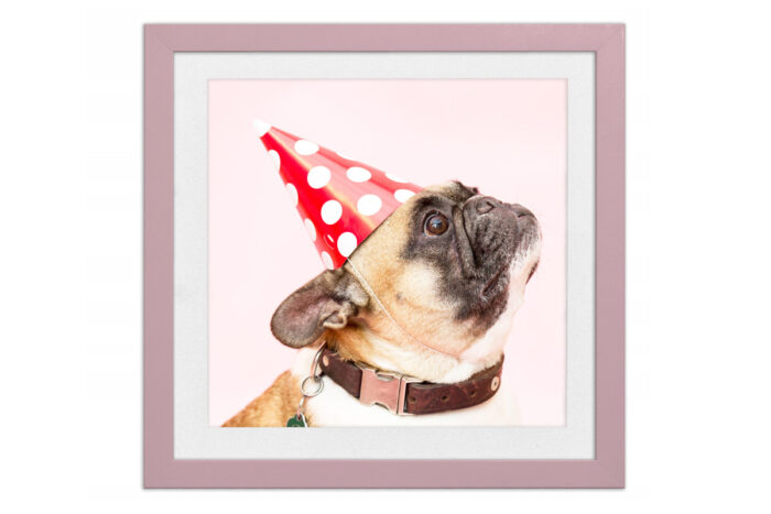 ramka fotoramka na zdjęcie róż różowa szkło passe partout