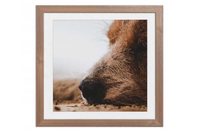 ramka kwadratowa kwadrat 30x30 brązowa brąz ze strukturą drewna widoczne słoje passe partout