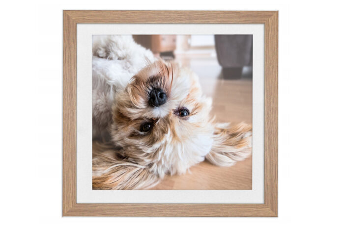 ramka na zdjęcie jasny dąb z passe partout