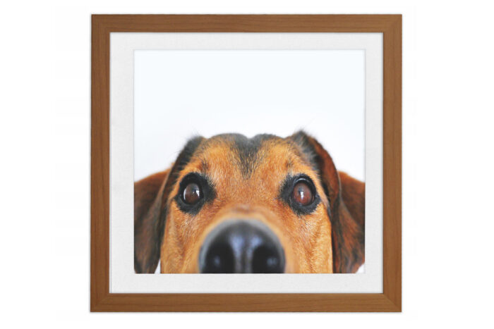 ramka na zdjęcie olcha z passe partout fotoramka z szybą